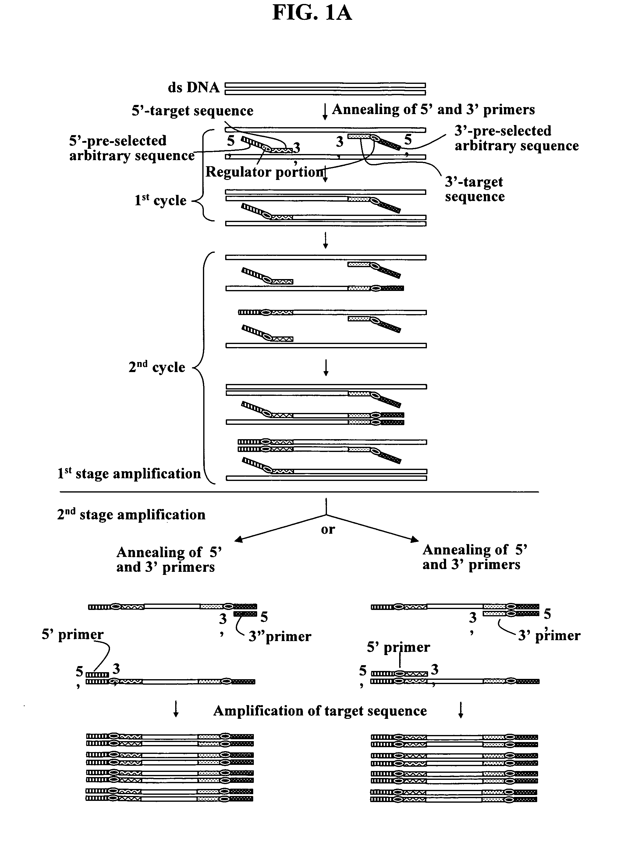 Annealing control primer and its uses