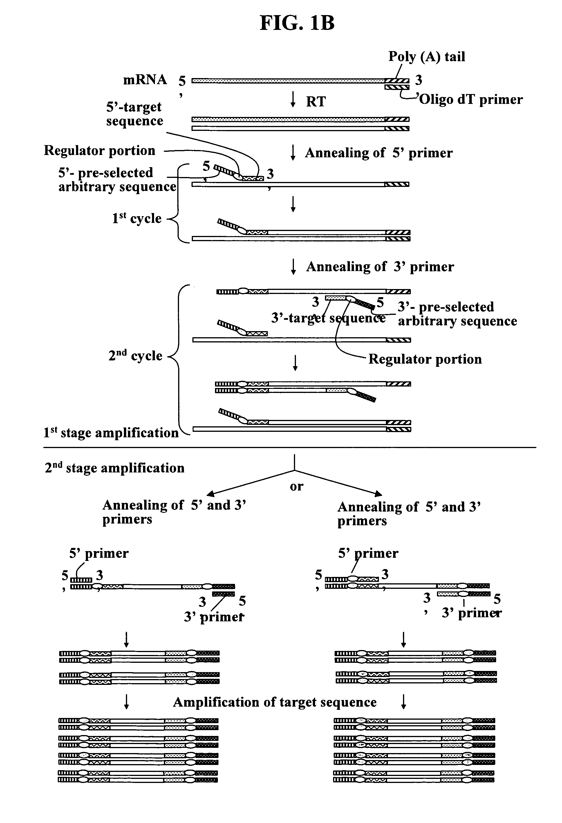 Annealing control primer and its uses