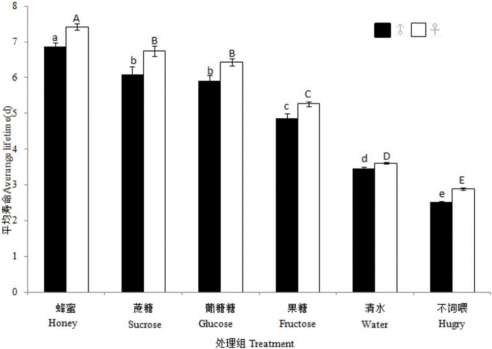 Artificial breeding method of cotesia chilonis matsumura