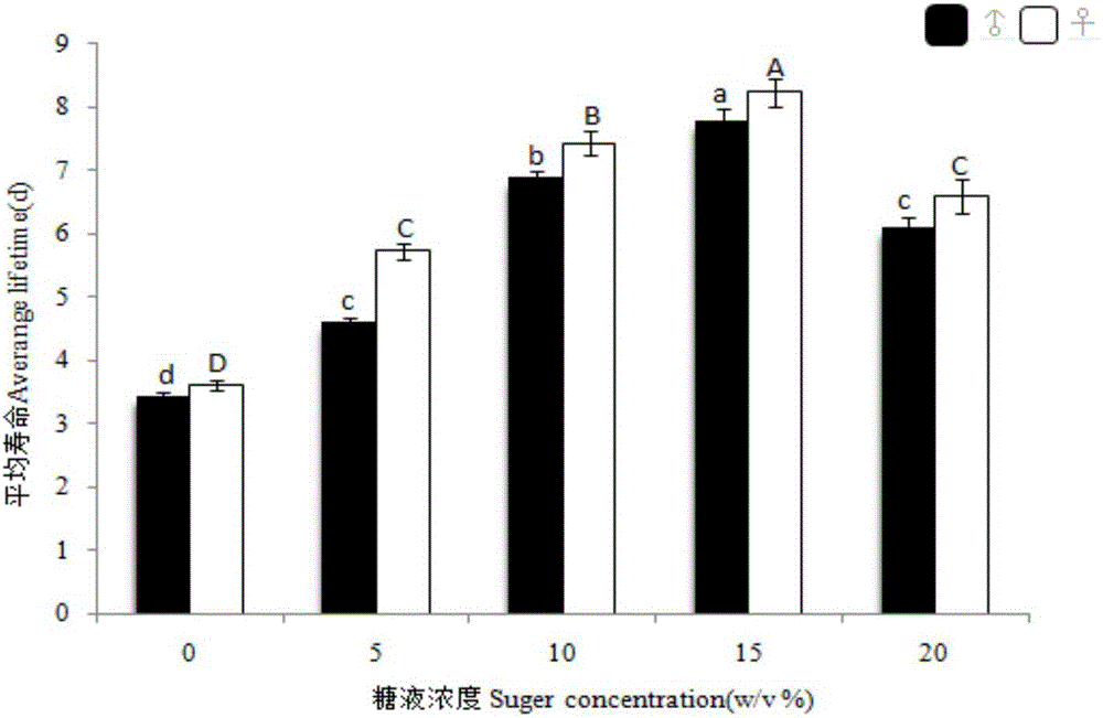 Artificial breeding method of cotesia chilonis matsumura