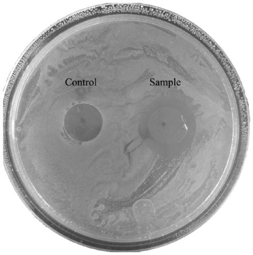 In-situ preparation method of antibacterial cellulose film, antibacterial cellulose film prepared with method and application of antibacterial cellulose film