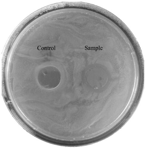 In-situ preparation method of antibacterial cellulose film, antibacterial cellulose film prepared with method and application of antibacterial cellulose film