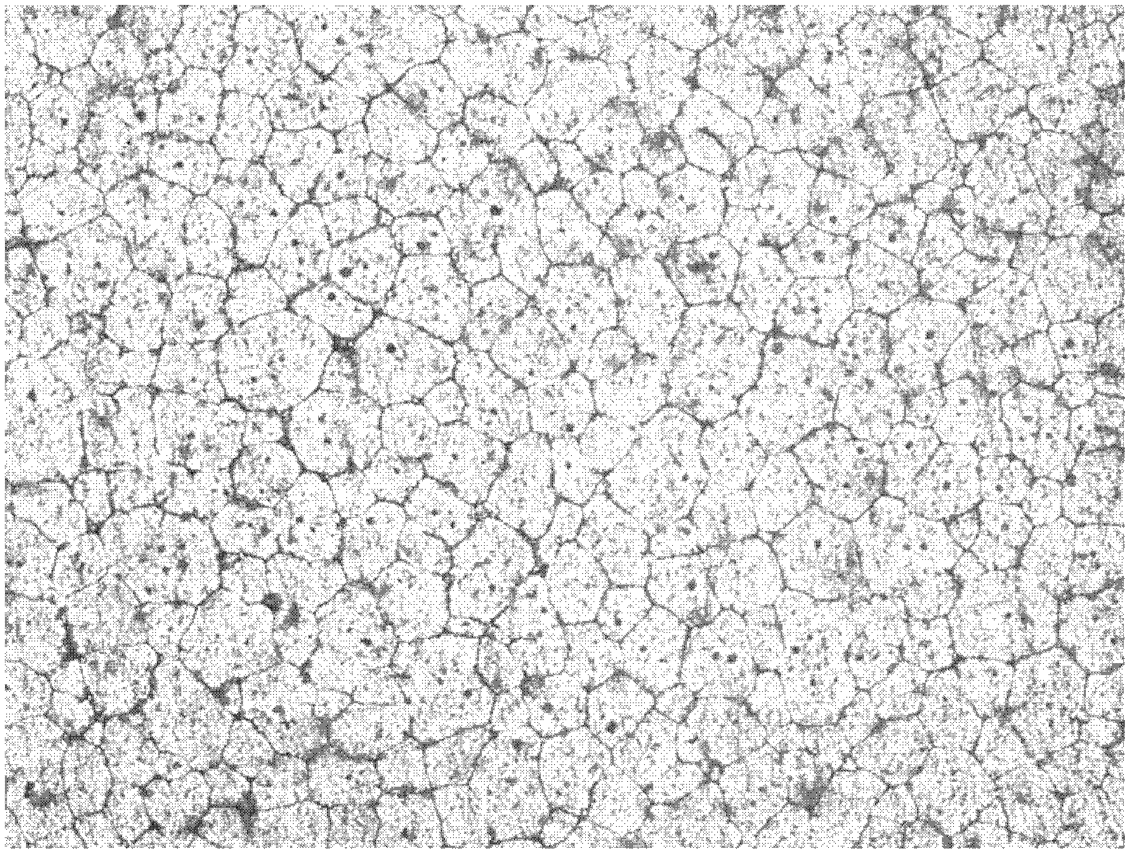 Method for connecting semi-solid materials into whole