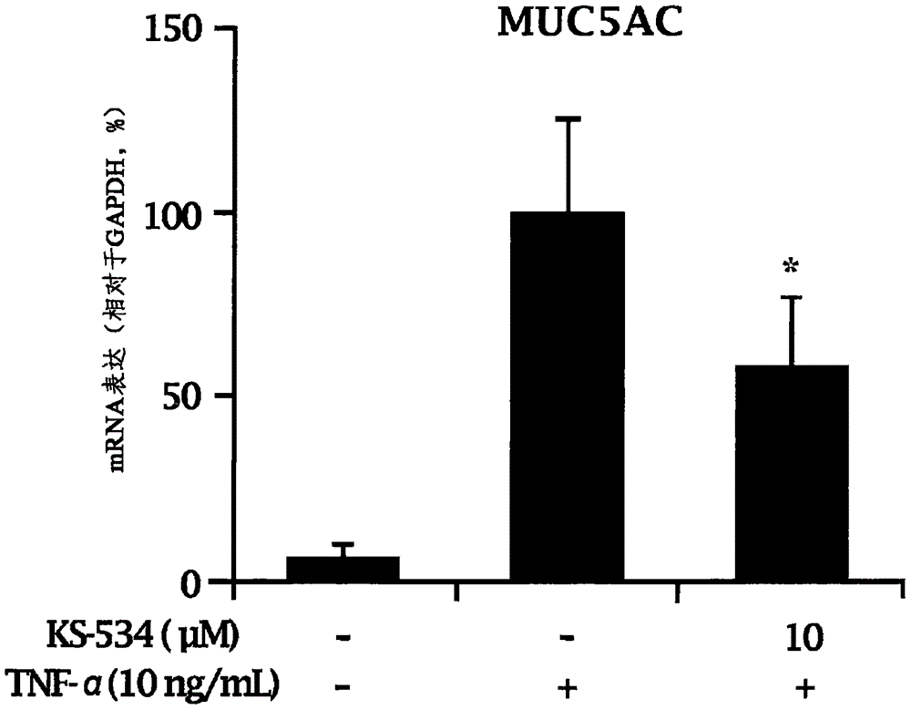 A novel compound isolated from pseudolysimachion rotundum var. subintegrum containing abundant amount of active ingredient, the composition comprising the same for preventing or treating allergy disease, inflammatory disease, asthma or chronic obstructive pulmonary disease and the use thereof