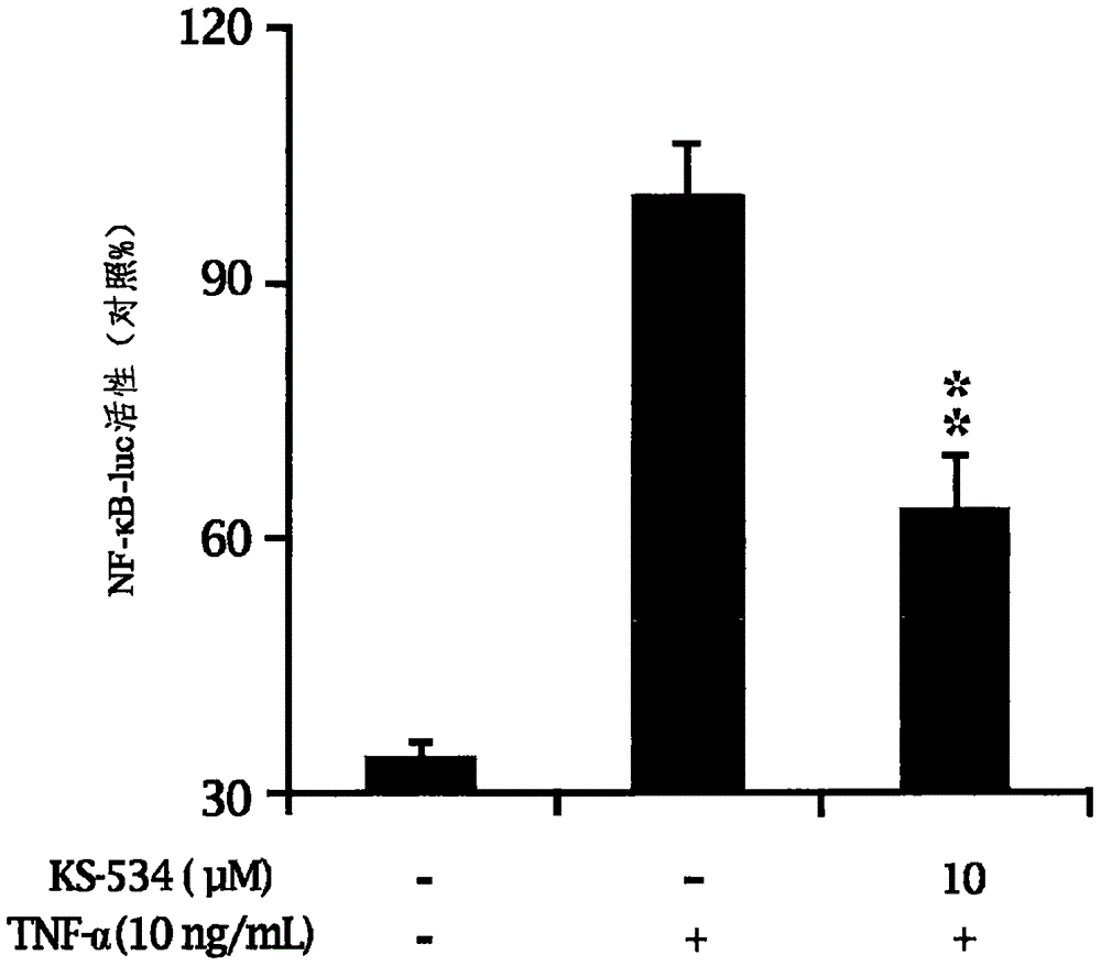 A novel compound isolated from pseudolysimachion rotundum var. subintegrum containing abundant amount of active ingredient, the composition comprising the same for preventing or treating allergy disease, inflammatory disease, asthma or chronic obstructive pulmonary disease and the use thereof