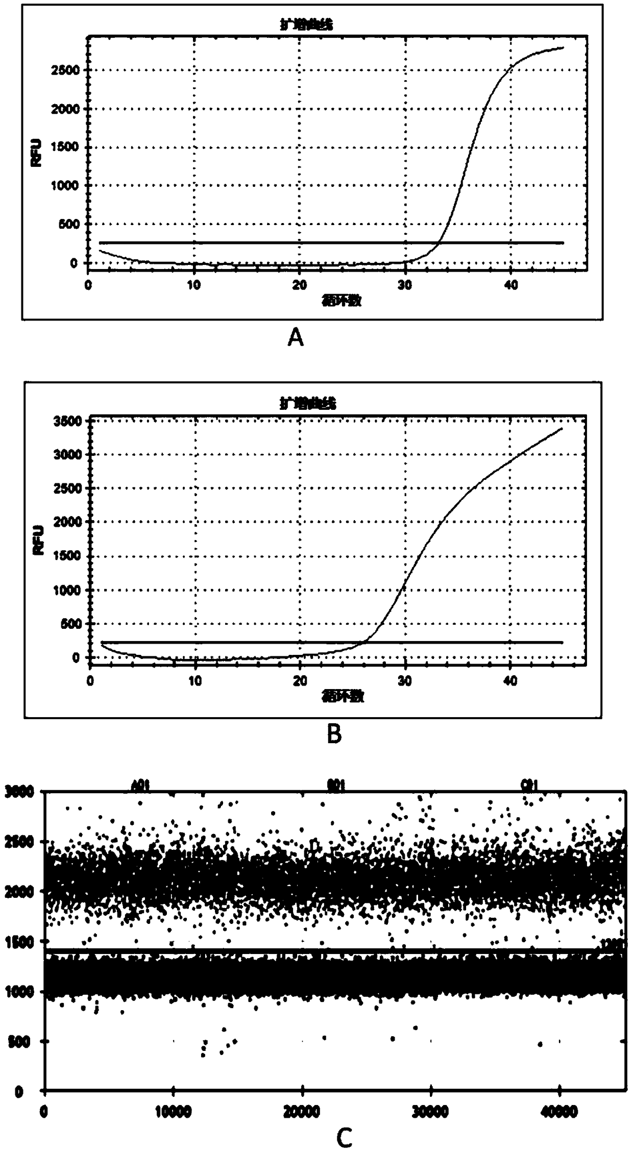 Universal primer single fluorescence molecule detection technique and kit