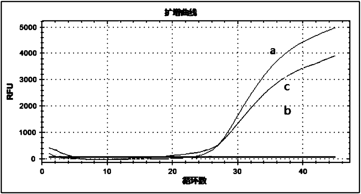 Universal primer single fluorescence molecule detection technique and kit