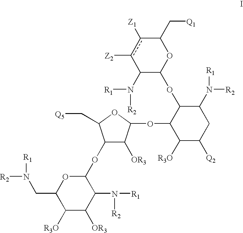 Antibacterial 1,4,5-substituted aminoglycoside analogs