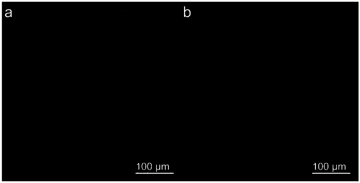 Tooth desensitizer penetrating into closed canaliculi dentales and preventing biomembrane from formation