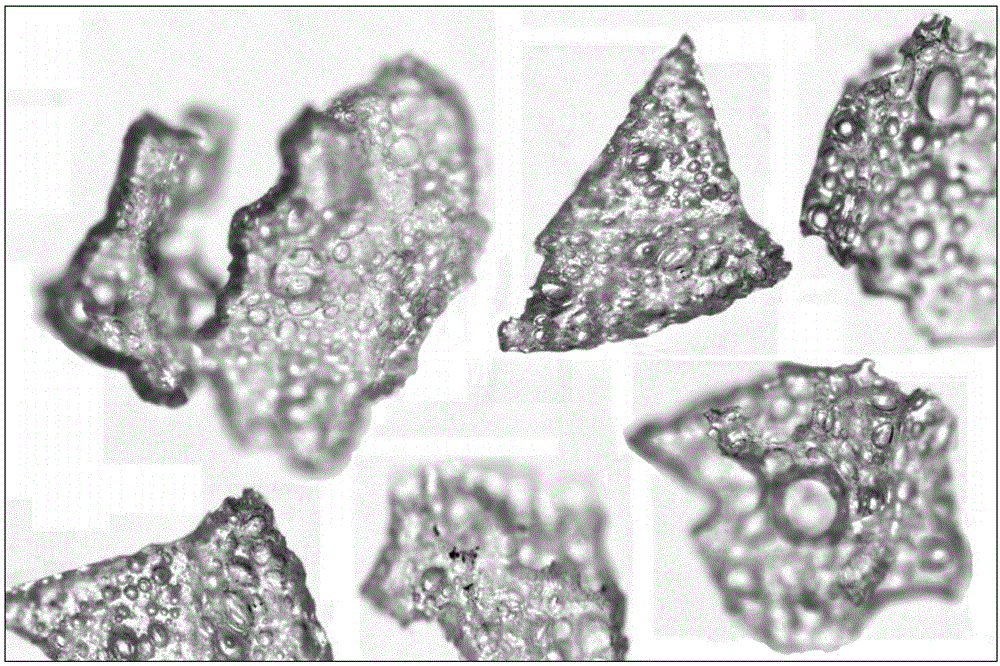 Light filtration medium for water treatment and preparation method and application thereof