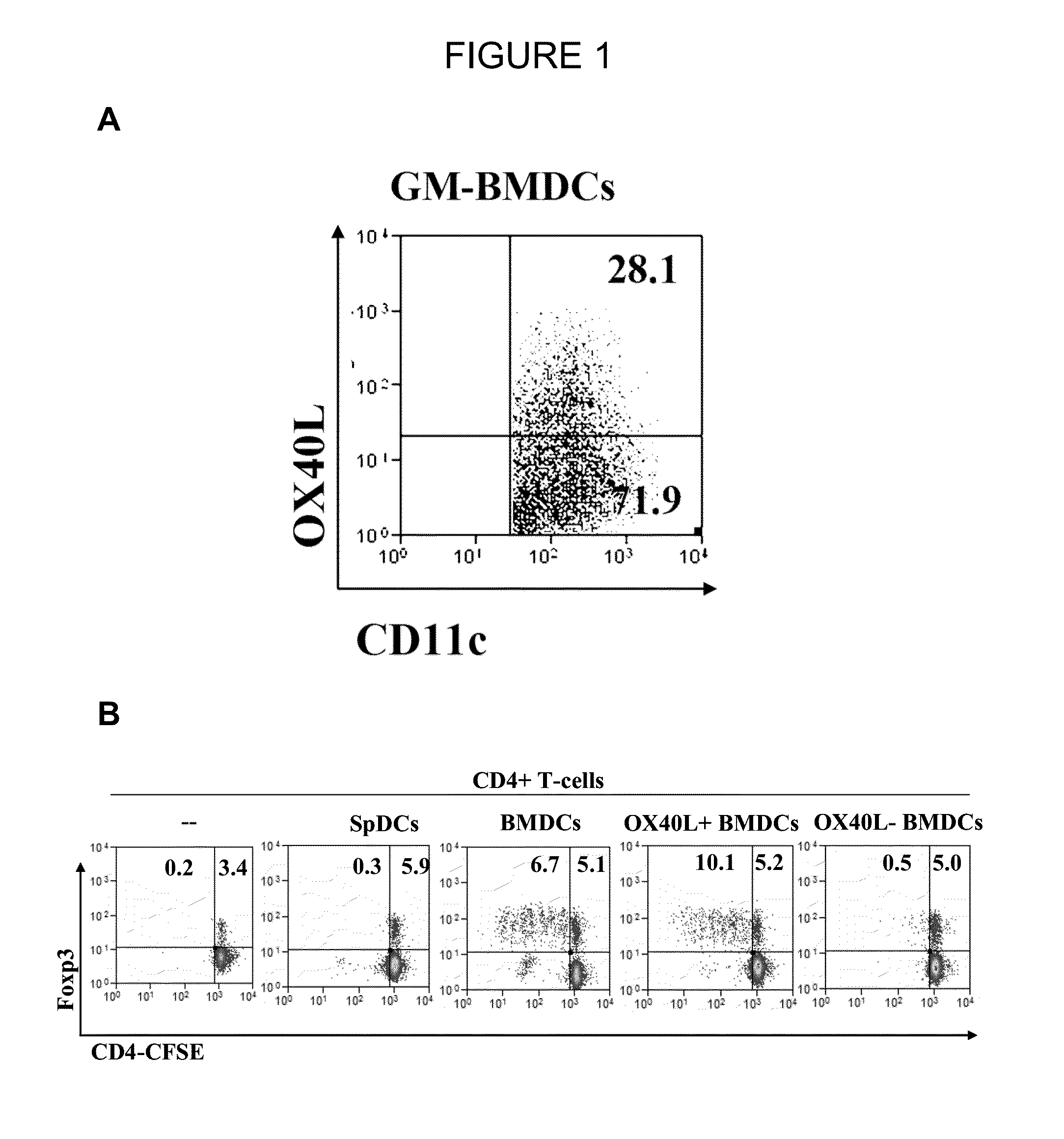 T-REG Cell Expansion