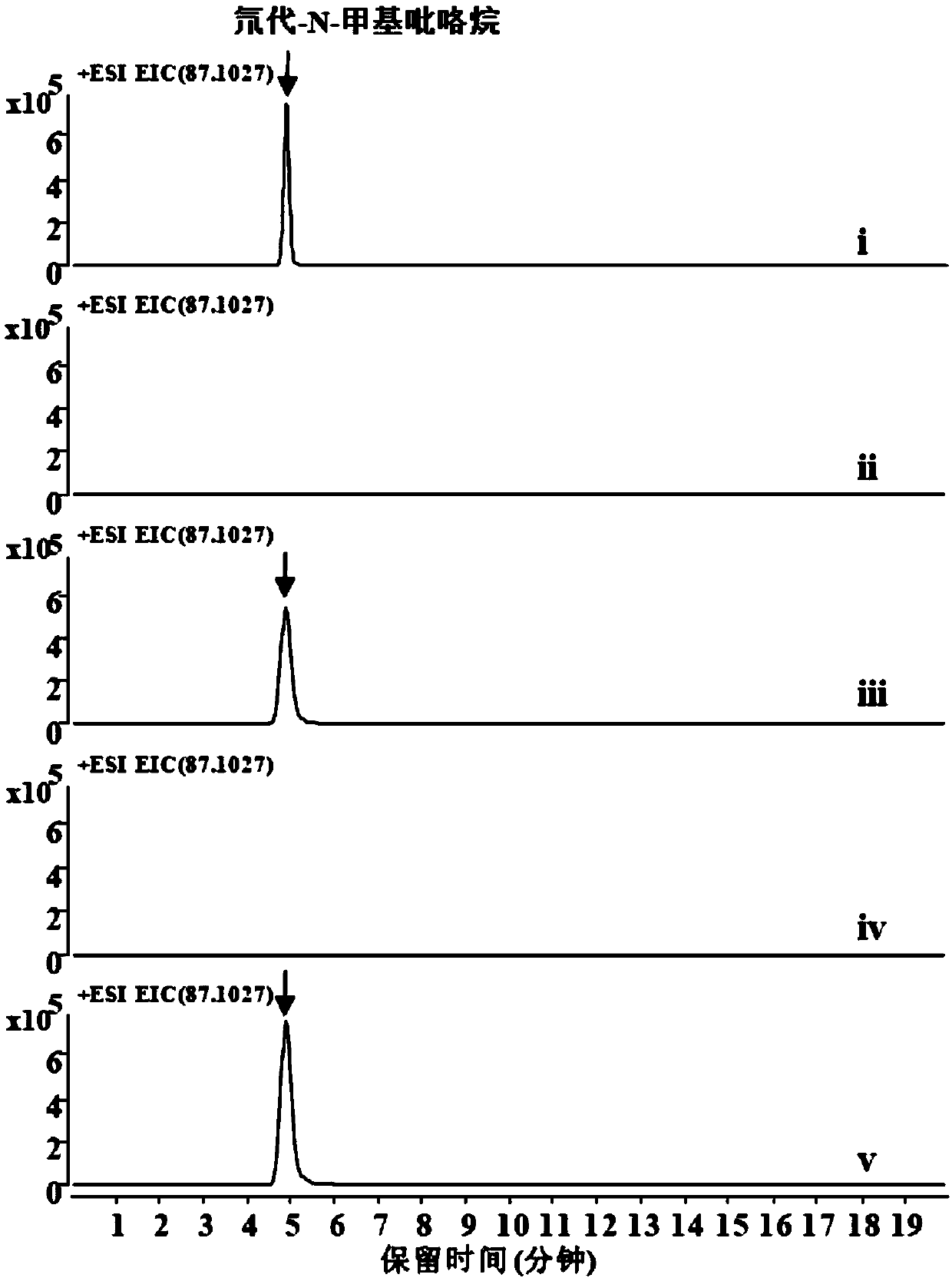 Method for preparing N-methyl pyrroline