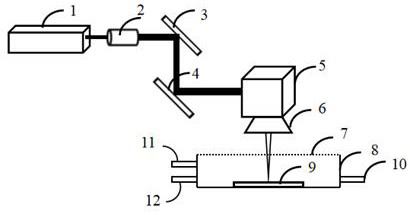 A method and device for preparing black silicon