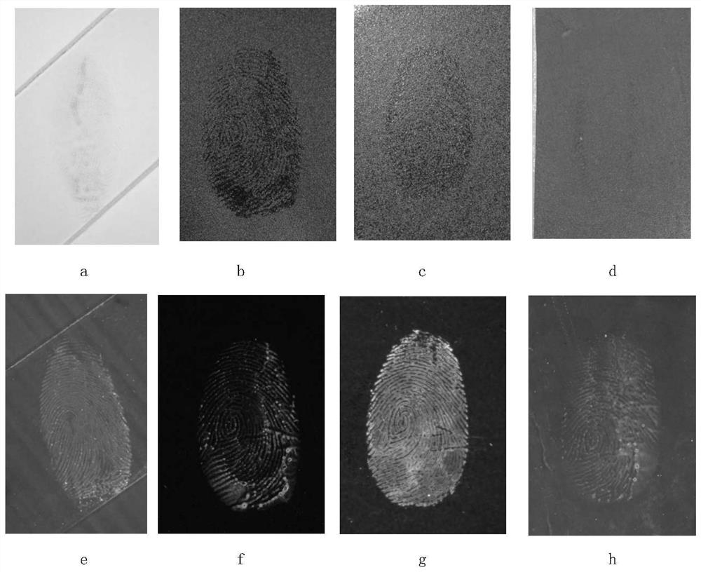 A method for showing traces of occult blood and its special reagent