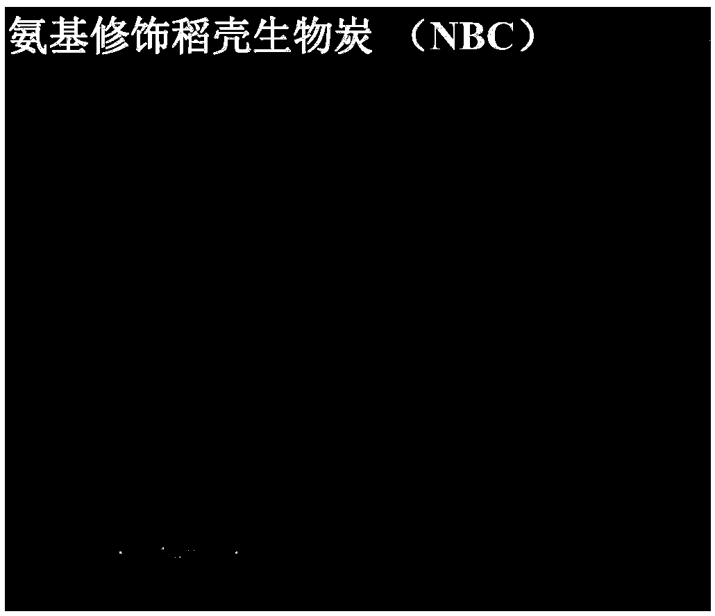 Amino-modified magnetic rice husk biochar preparation method and method for adsorbing uranium in water by using biochar