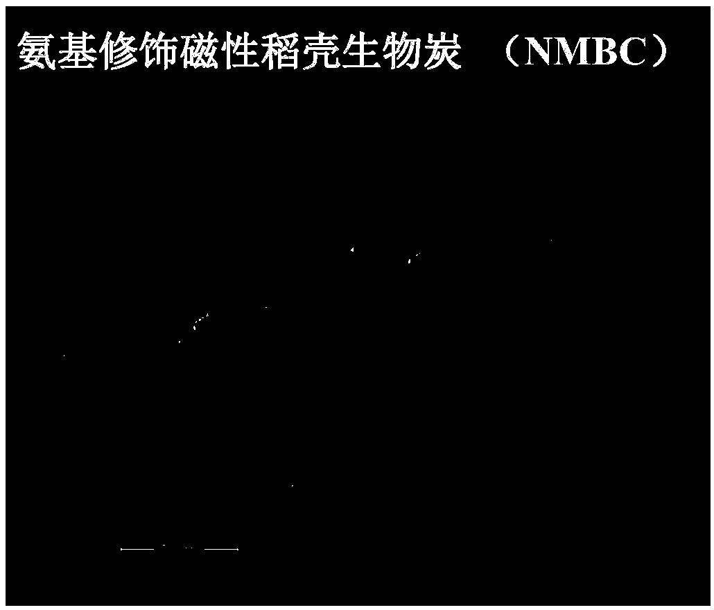 Amino-modified magnetic rice husk biochar preparation method and method for adsorbing uranium in water by using biochar