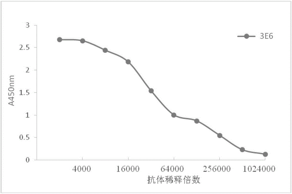 Formoterol resistant monoclonal antibody and application thereof