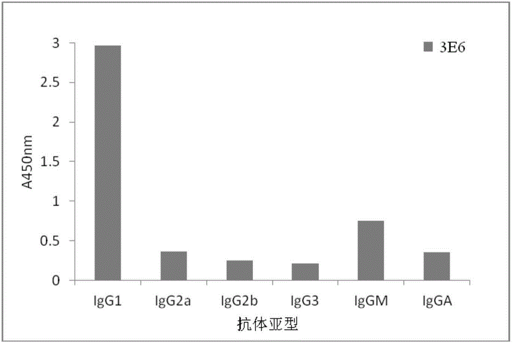 Formoterol resistant monoclonal antibody and application thereof