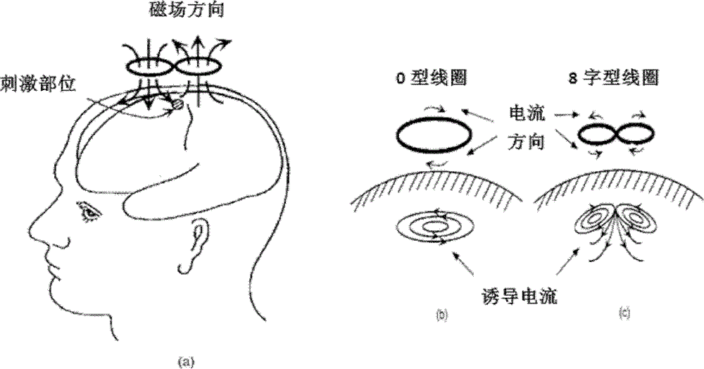 Dynamic variable multichannel transcranial magnetic stimulation coil array and control method thereof