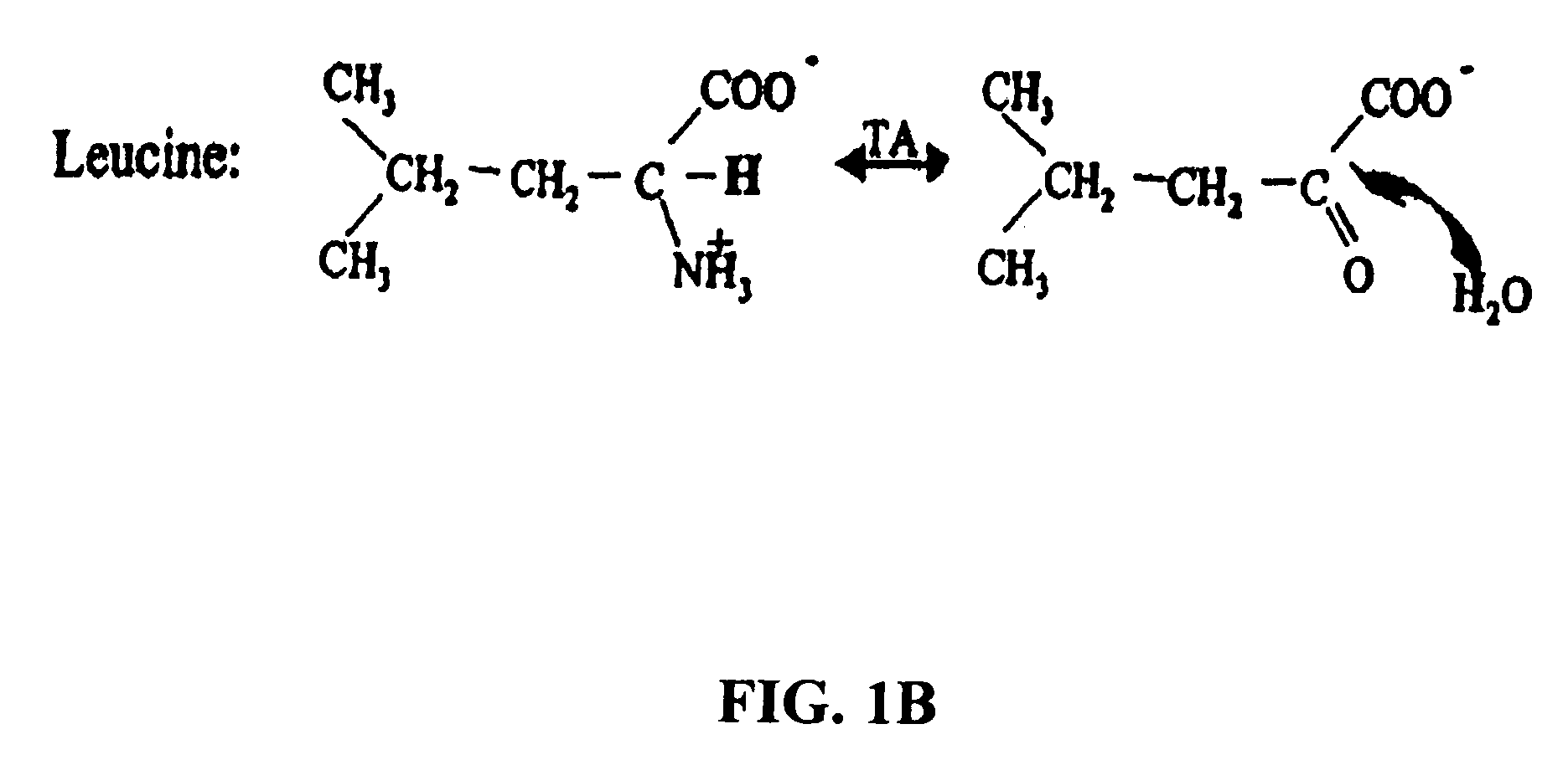 Compositions and methods of treatment using modulators of motoneuron diseases