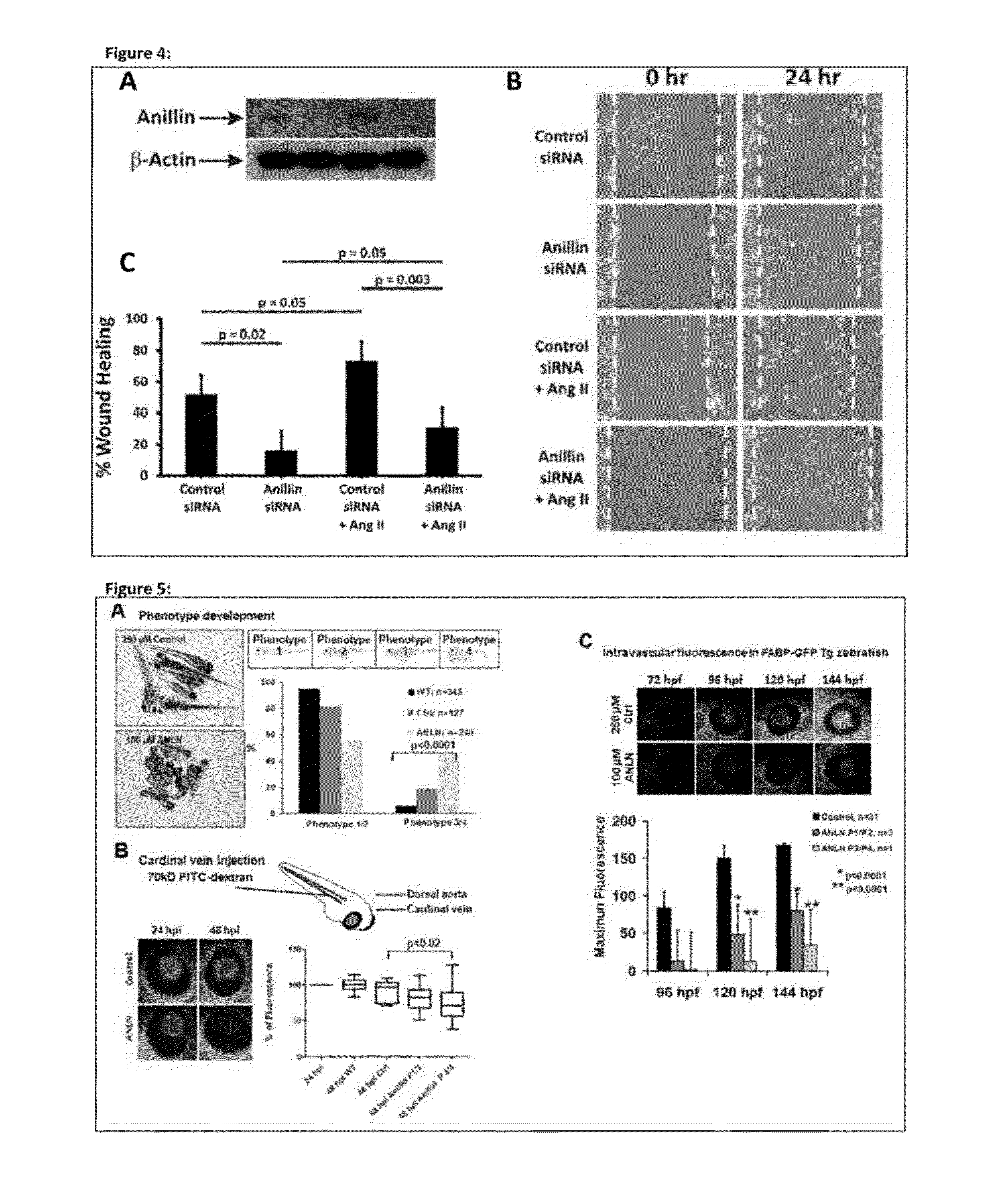 Novel genes causing hereditary kidney disease or malformation of the urinary tract