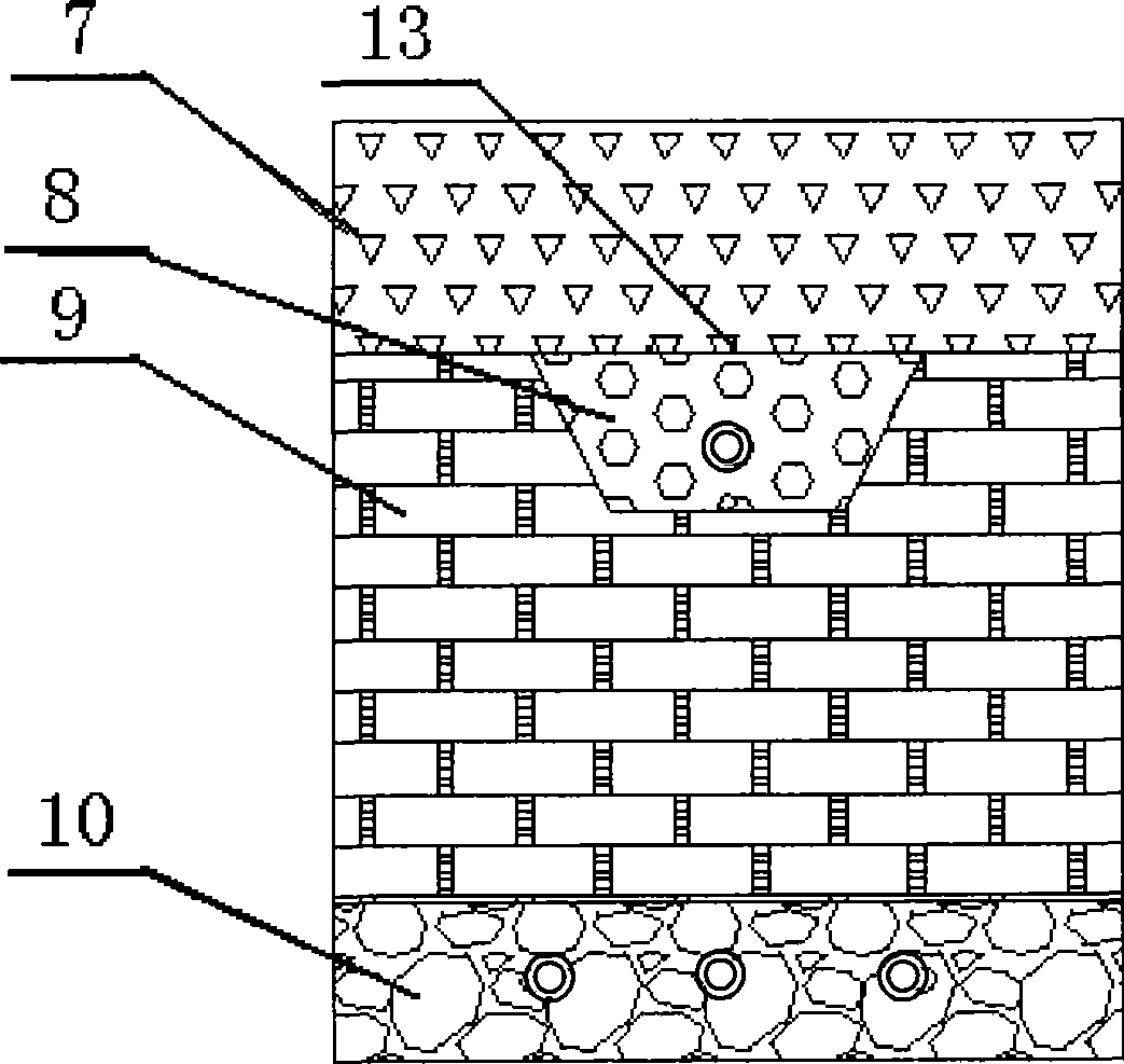 Device of individual type sewage drainage ecological treatment and method thereof