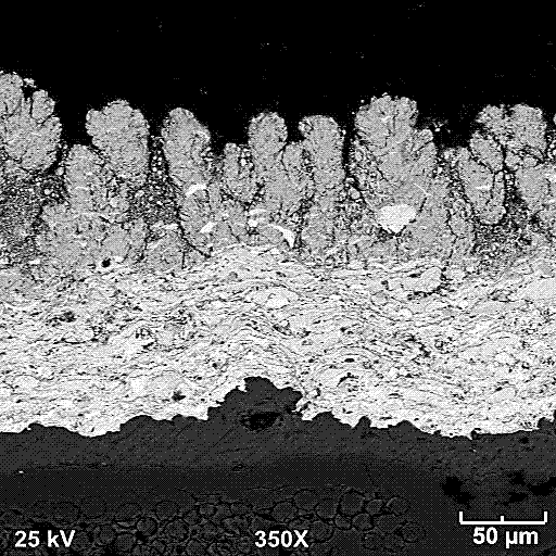 Environmental protection coating of SiCf/SiC composite material guider blade and preparation method of environmental protection coating