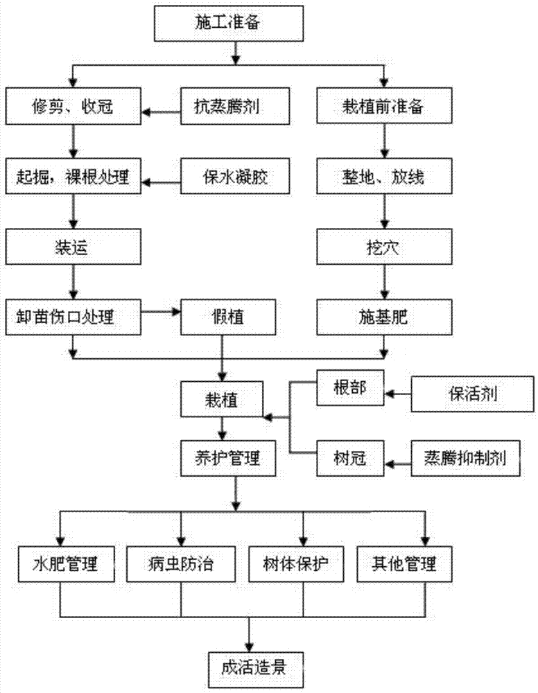 Method for keeping alive bare-root transplanted zelkova serrata