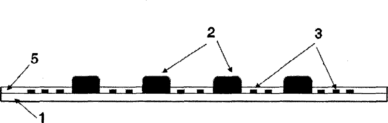 Flexible retina salient point micro-electrode chip and production method thereof