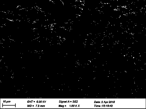 Method for preserving bone tissue materials