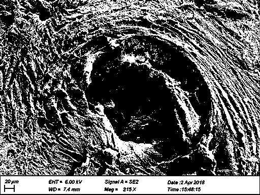 Method for preserving bone tissue materials