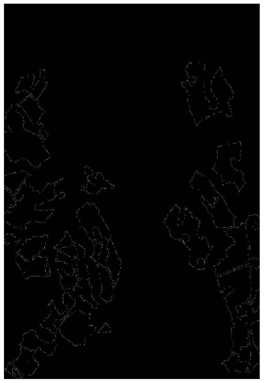 SAR image classification method based on curve wave deep ladder network model