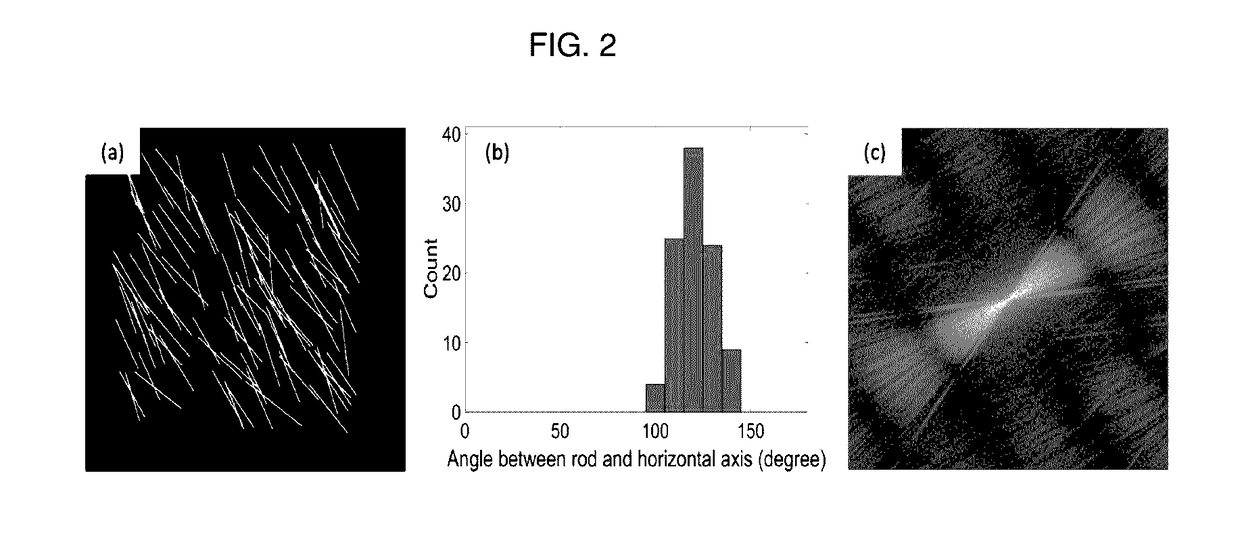 Method of analysing images of rod-like particles