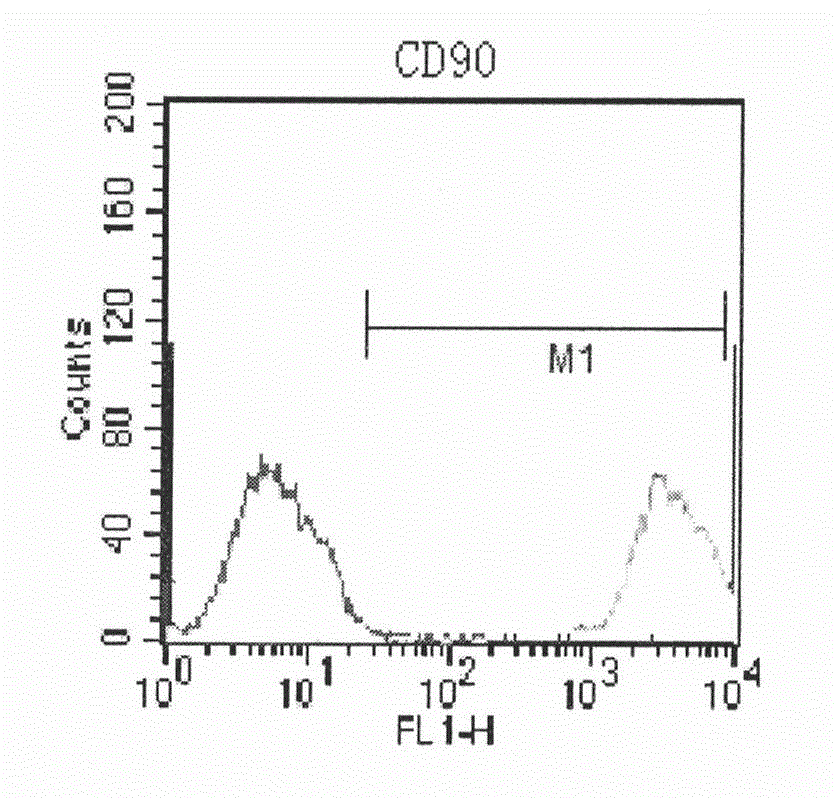 Human amnion mesenchymal stem cell serum-free culture medium and culture method thereof