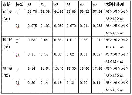 Matrix for growing Toona seedlings in container