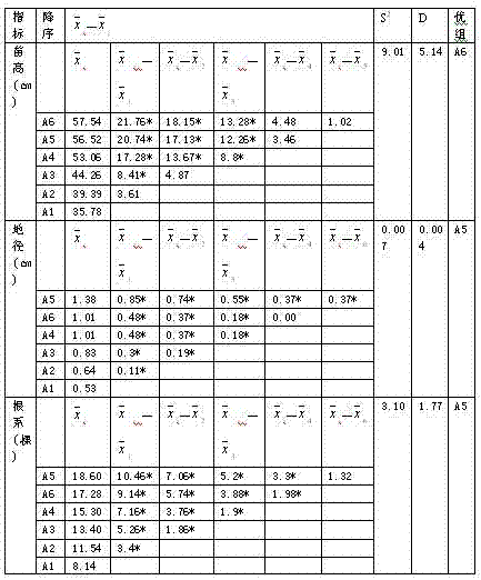 Matrix for growing Toona seedlings in container