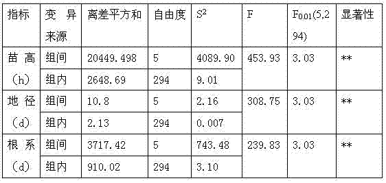 Matrix for growing Toona seedlings in container