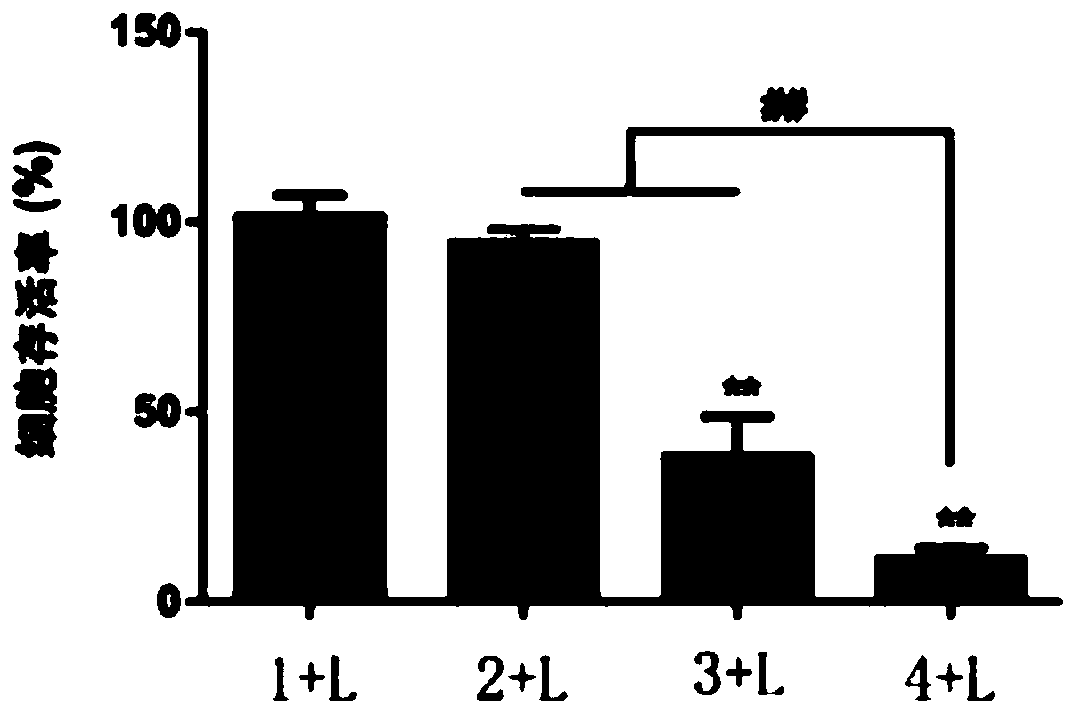 Application of 5-aminolevulinic acid and iron chelating agents in preparing anti-tumor combined drug