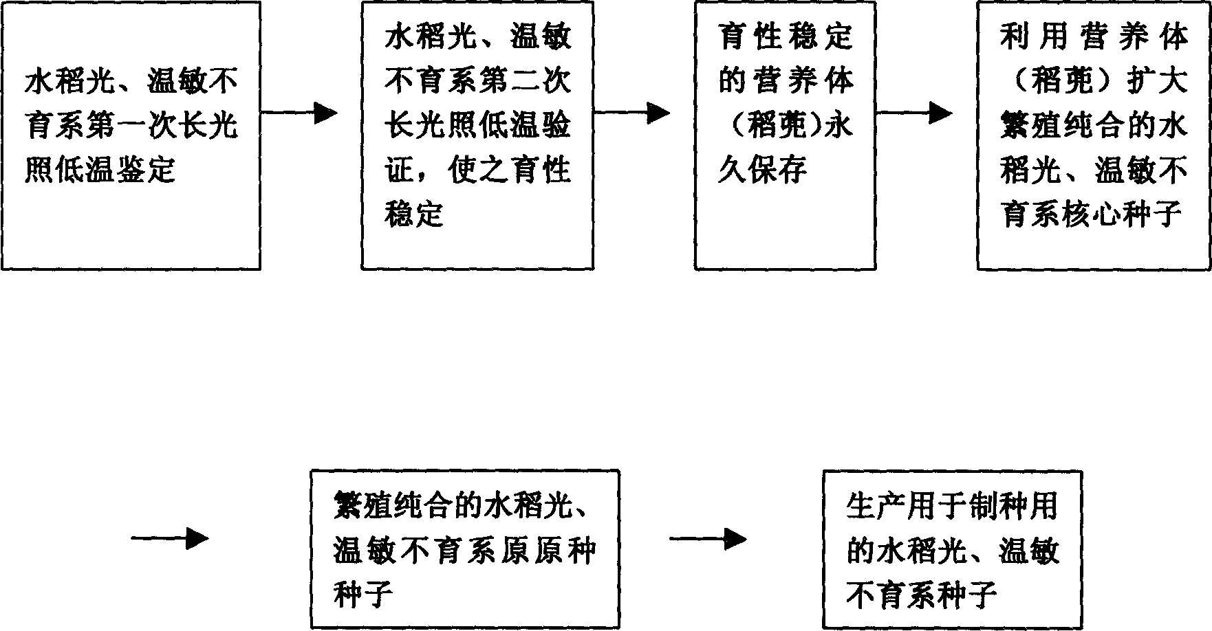 Conservation and breeding method for rice photosensitive and temperature-sensitive sterile line