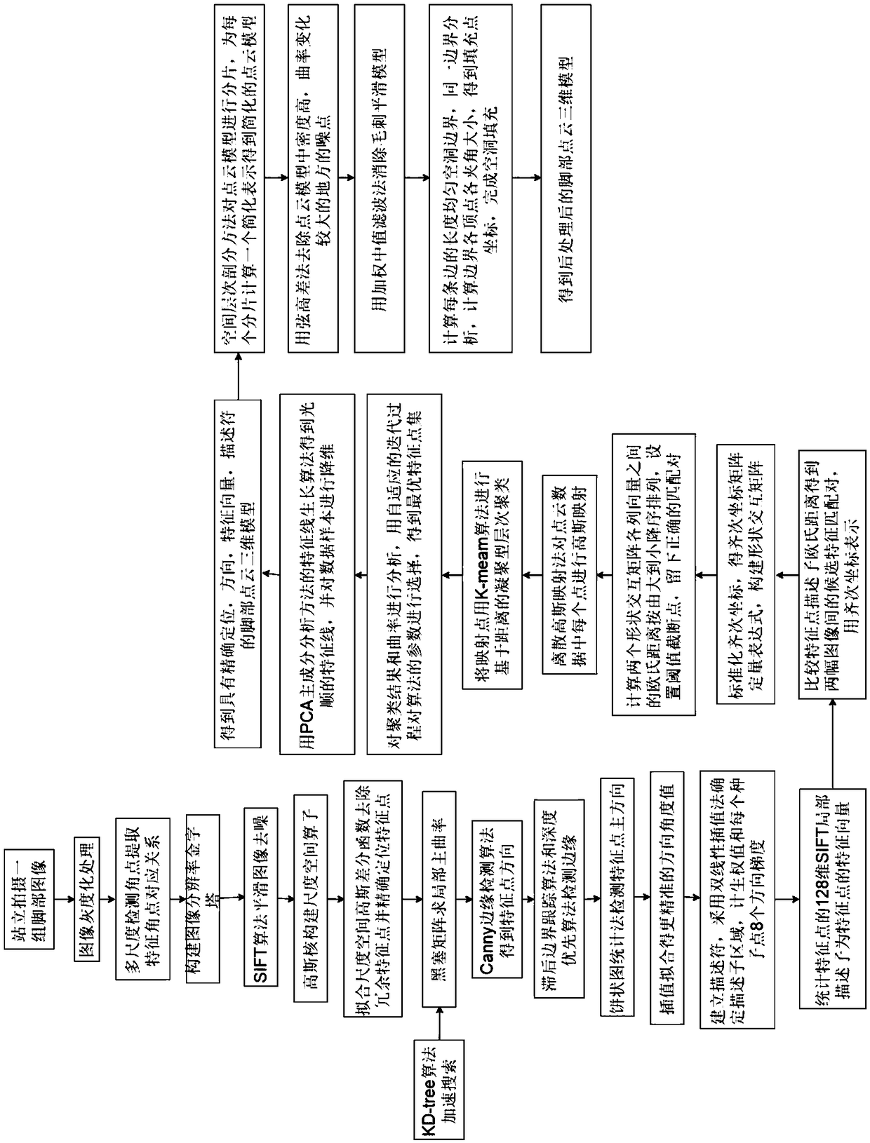 A method and system for reconstructing a foot point cloud model