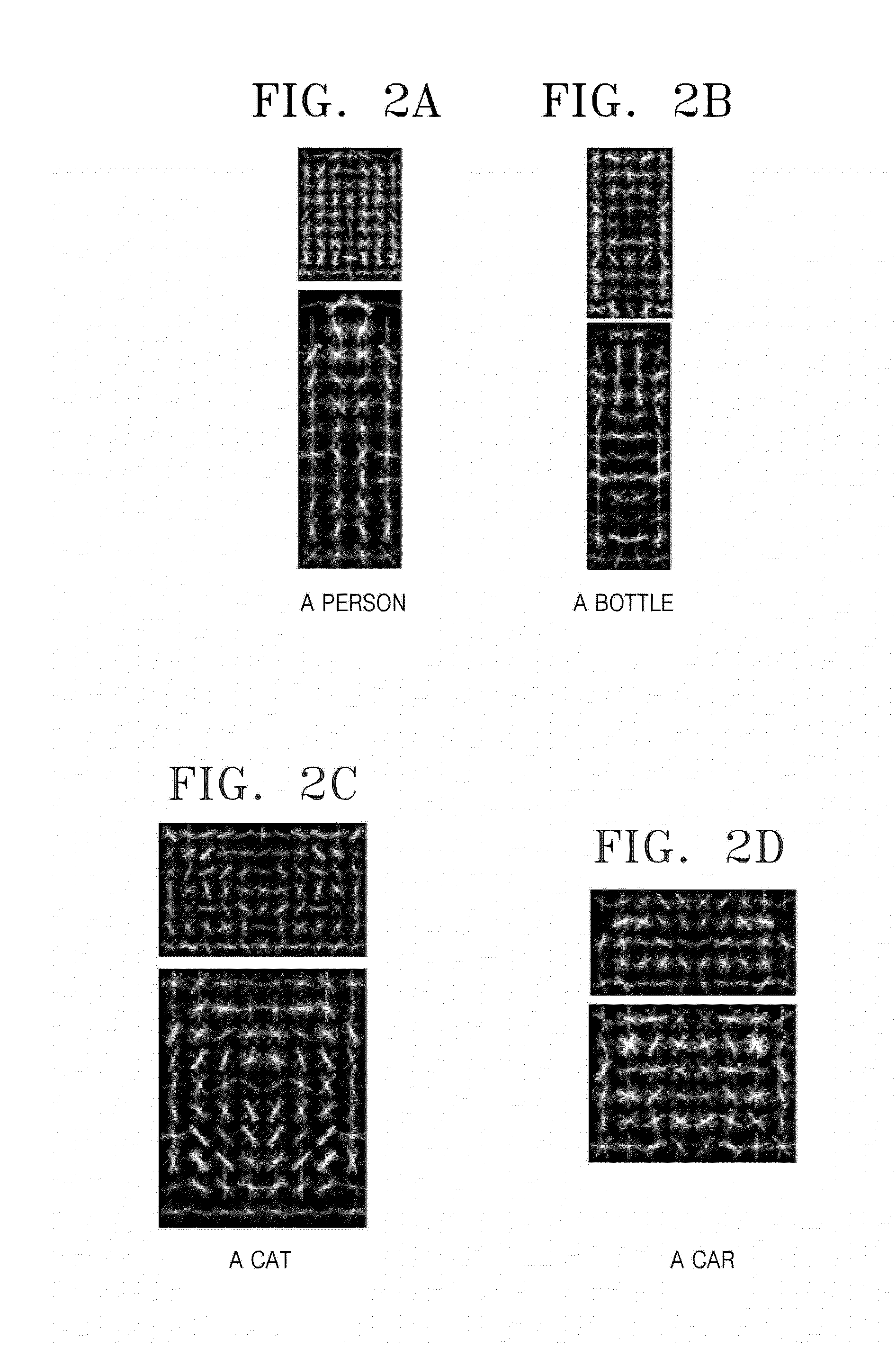 Apparatus and method for tracking object