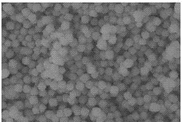 Preparation method and application of nano cubic upconversion luminescent material