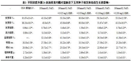 The method of brassinolide soaking to alleviate the damage of maize under different adversity stress