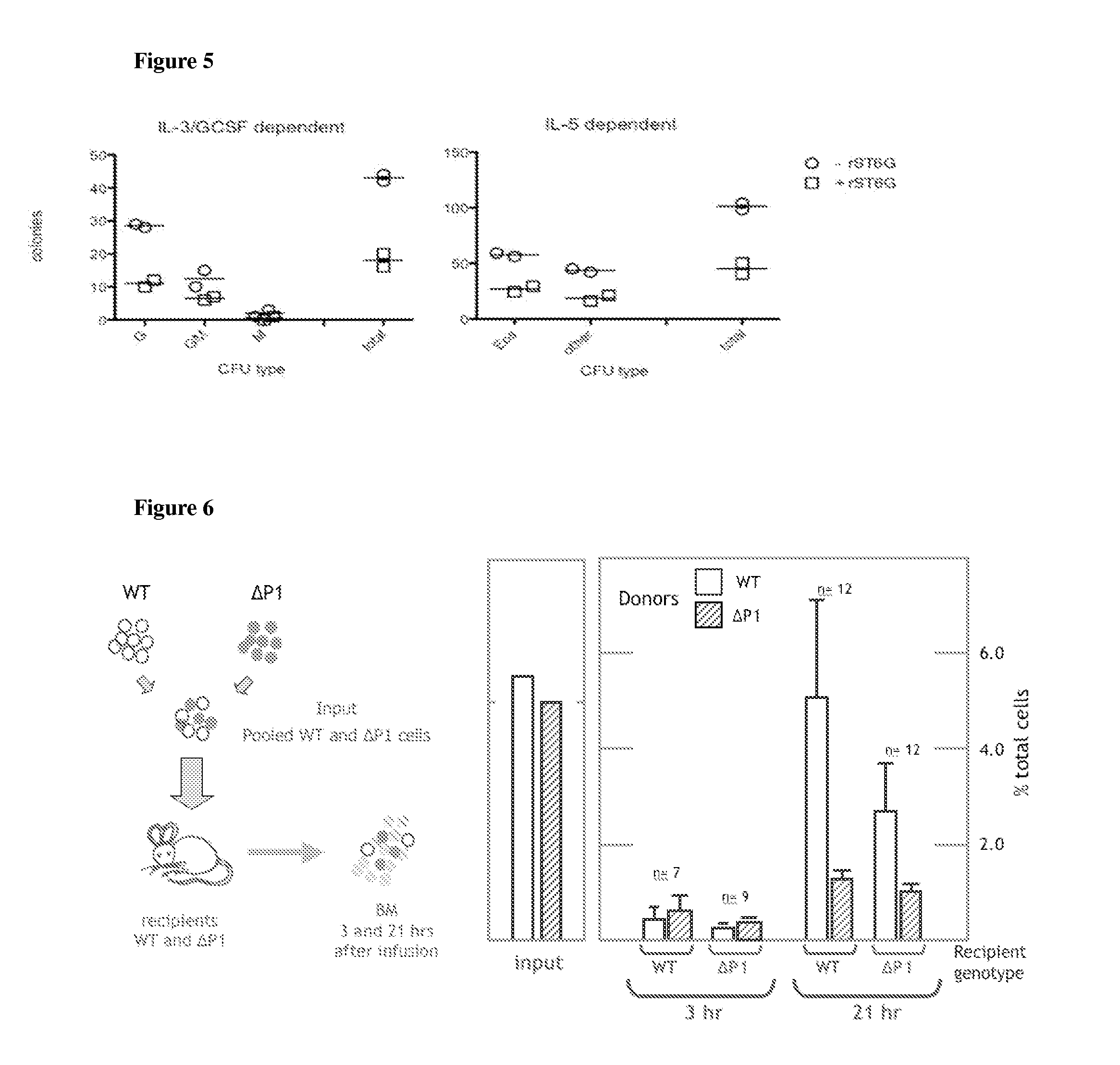 St6gal i mediated modulation of hematopoiesis