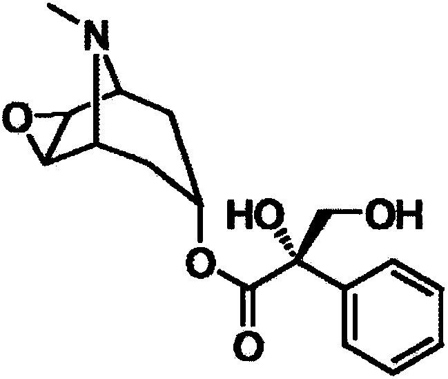 Application of anisodine to preparation of drugs for preventing or treating renal fibrosis