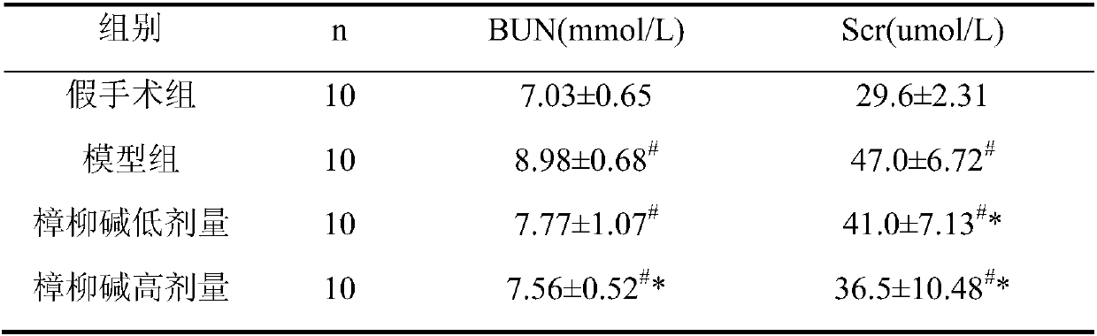 Application of anisodine to preparation of drugs for preventing or treating renal fibrosis