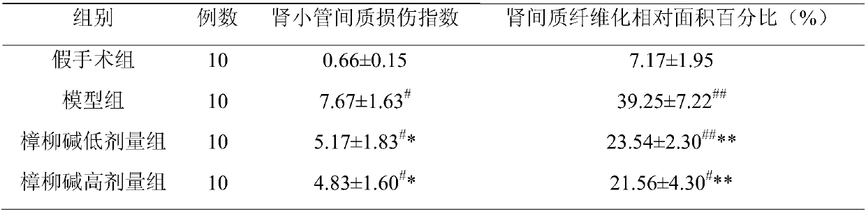 Application of anisodine to preparation of drugs for preventing or treating renal fibrosis