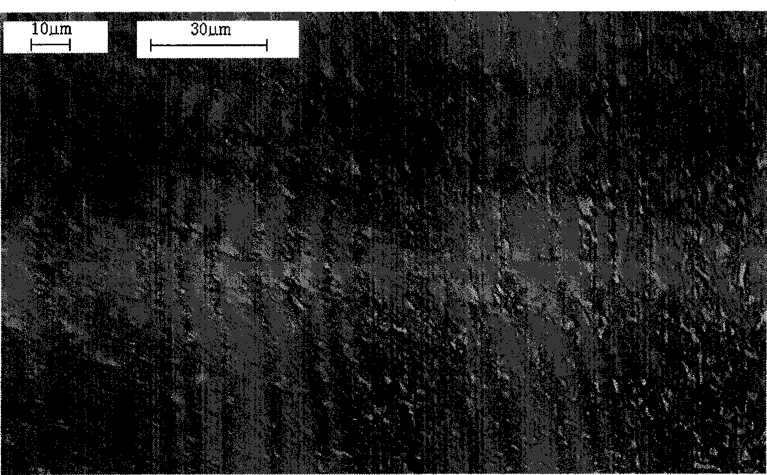 Shortened method for producing oxygen-free copper belt