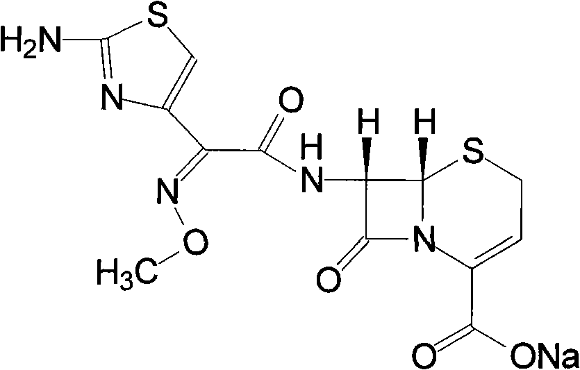 Ceftizoxime sodium liposome injection