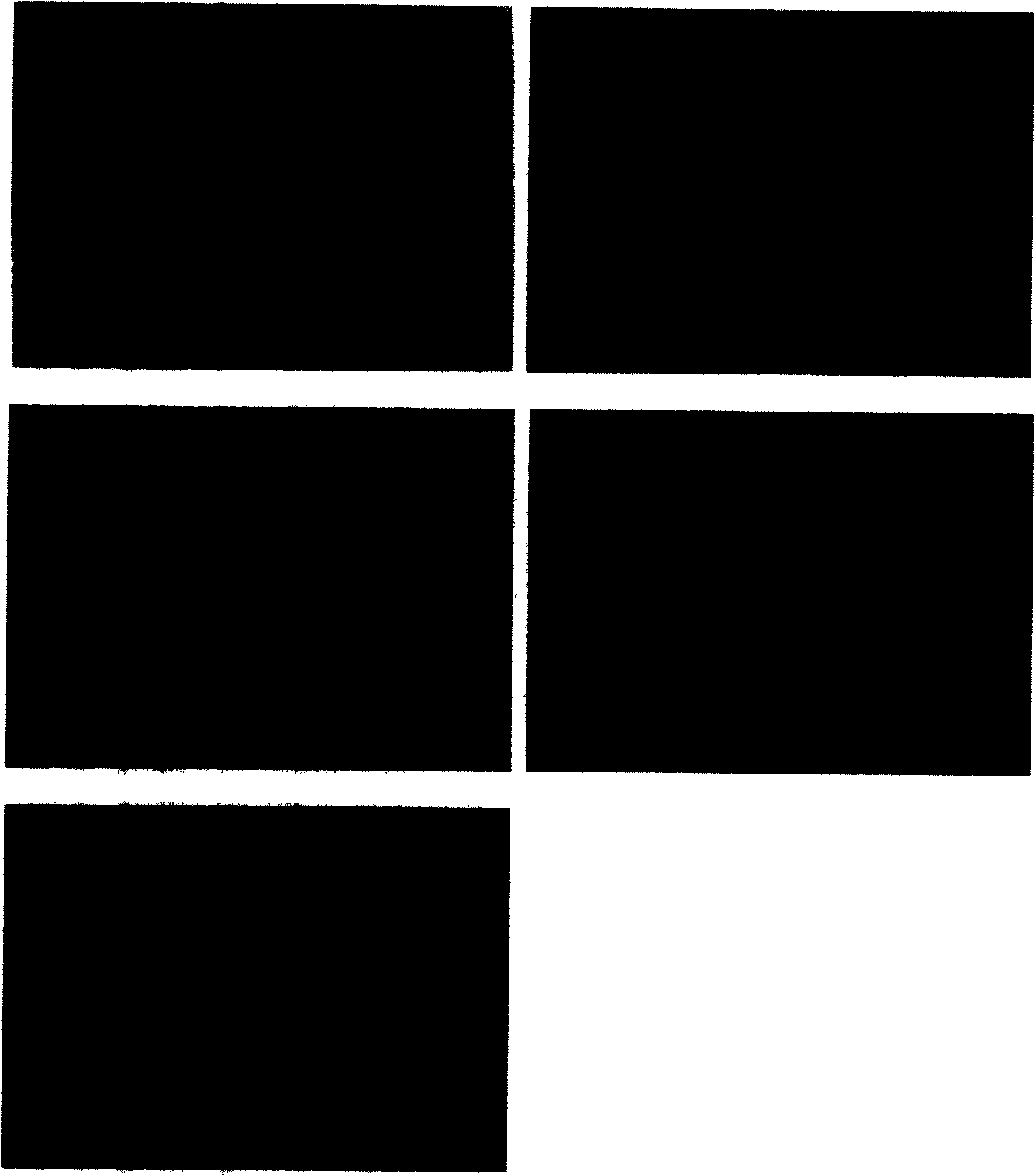 Use of cyclic enol ether terpenoid for producing promotive neurocyte proliferate and differentiation medicament